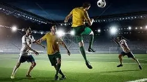 乐鱼体育 资讯 102005 unj