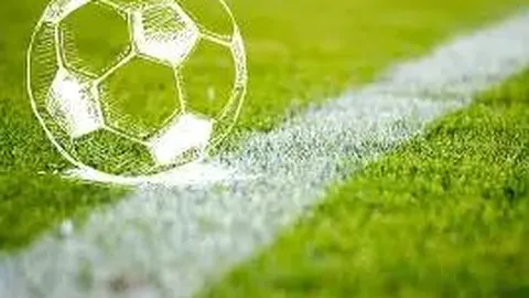 乐鱼体育 产品 101950 crn