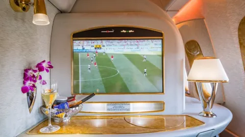 乐鱼体育 资讯 100502 tdq