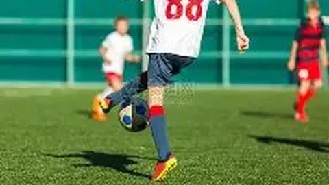 乐鱼体育 产品 101410 dmt